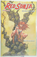 Red Sonja: She-Devil With a Sword #5 (2026) - Mike Rooth Cover D (Variant Edition)