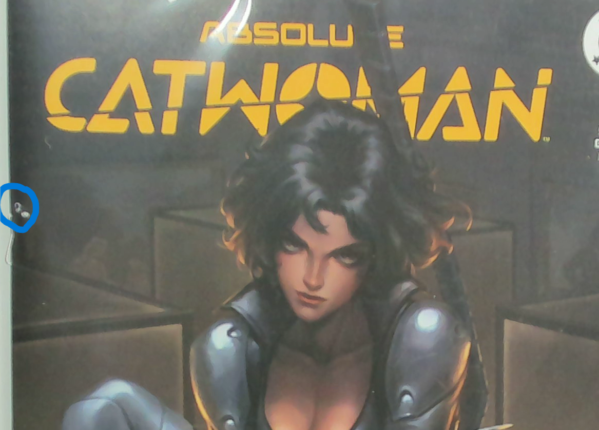 Absolute Catwoman #2 (2026) Ltd to 3000 - Ejikure Cover A Trade Dress Variant VF READ DESCRIPTION
