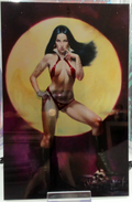 Vampirella: Dead Flowers #1 (2023) 50 year anivaersary (METAL) - Lucio Parrillo Cover P (Premium Virgin Metal Edition)
